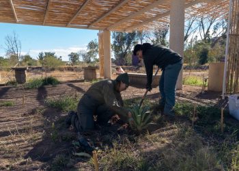 Gobierno de Sonora fortalece la vida cultural y comunitaria en el Bosque Urbano La Sauceda