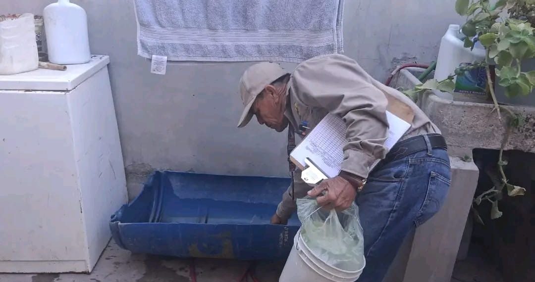 Mantener patios limpios reduce el riesgo de dengue y rickettsia: SSP