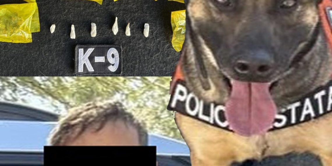 Binomios caninos detectan narcótico en Tierra Nueva: PESP