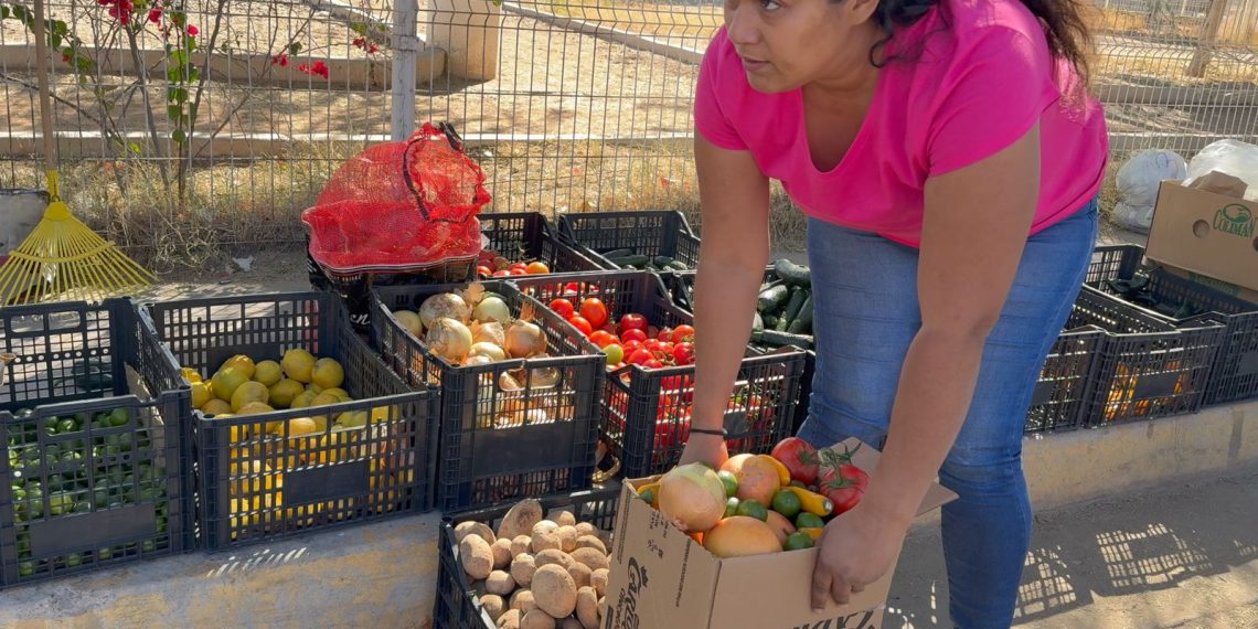 Banco de Alimentos de Hermosillo ofrece paquetes nutricionales solidarios para aliviar la cuesta de enero