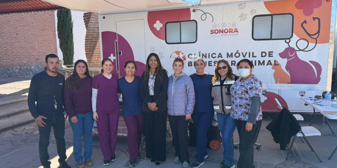 Bienestar Animal impulsa jornada gratuita de esterilización en Bacerac