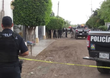 Deja violencia más de 400 víctimas en Cajeme