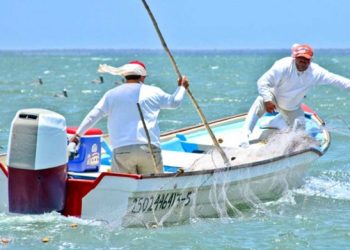 Conapesca cierra 2025 con resultados positivos en pesca sostenible