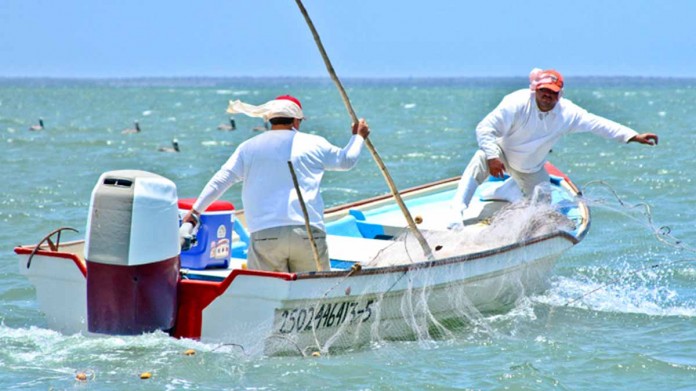 Conapesca cierra 2025 con resultados positivos en pesca sostenible