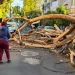 Sorprende temblor a la CDMX