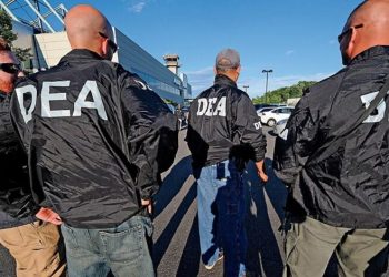 Presume DEA captura de mil 300 criminales de CJNG y del CS