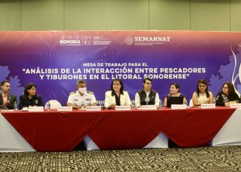 Realiza&nbsp;Sagarhpa&nbsp;mesa de trabajo sobre interacción entre pescadores y tiburones