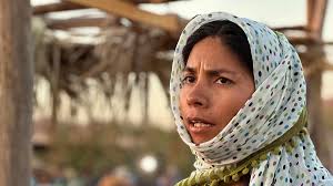 Activista indígena denuncia que le niegan candidatura en Sonora por ser lesbiana