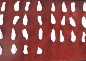 Incauta Policía Estatal 28 envoltorios y asegura a persona en Hermosillo