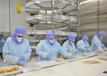 Registra Sonora 14 mil empleos nuevos en 2024