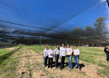 Programa de extensionismo de la Sagarhpa forma cooperativas en zonas marginadas de Sonora