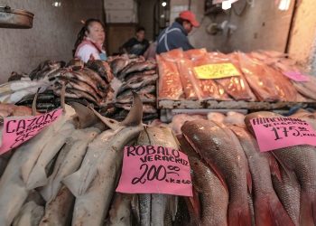 Revelan importación de pescado y marisco con peso disfrazado por hielo añadido