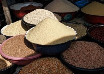 Importó México 6% más granos en 2023