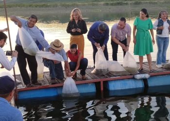 Aumenta IAES 200 por ciento la producción de tilapia en 2023