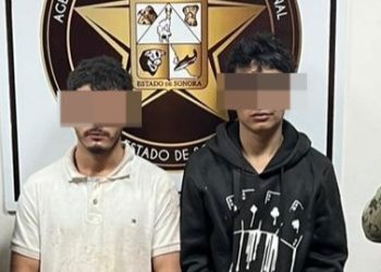 Desarticulada célula delictiva en Cajeme