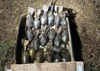 Crece decomiso de narcoexplosivos