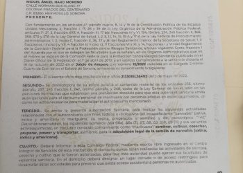 Hermosillense ganó amparo para fumar marihuana