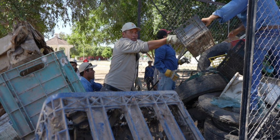 Defunciones por rickettsia disminuyen un 50 por ciento en Sonora
