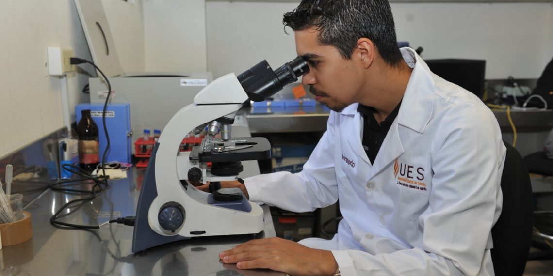 Tiene la UES posgrados con la industria y los sectores productivos de la región