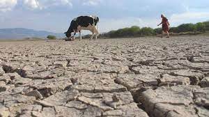 Declaran emergencia en Sonora por la aguda y prolongada sequía