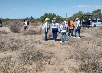 Suman 56 cuerpos hallados por Madres Buscadoras en El Choyudo