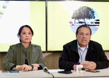 El Ayuntamiento de Hermosillo repondrá con especies nativas los árboles afectados en camellón del bulevar Rodríguez