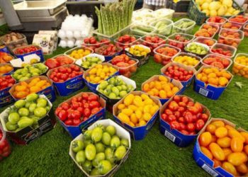 Exportaciones agroalimentarias inician el año con alza de 5.82%