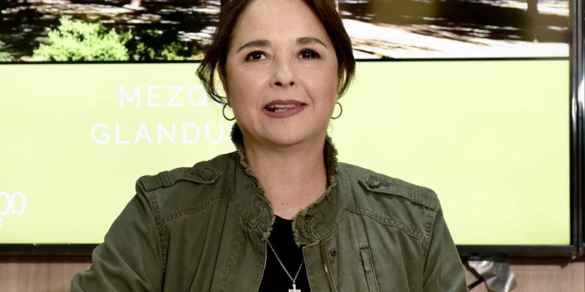 Invitan a curso sobre plantas nativas de la Universidad de Arizona