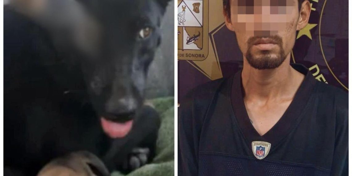 Condena de 2 años y 6 meses de prisión para agresor de “Negrita”