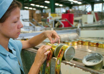 Suma empleo 8 meses consecutivos a la baja