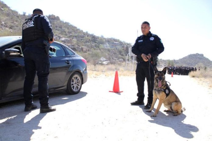 Bajan en Sonora delitos de alto impacto