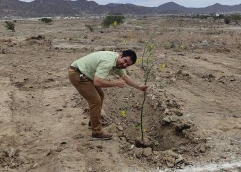 Crearán Parque de la Vida, un memorial a donadores de órganos