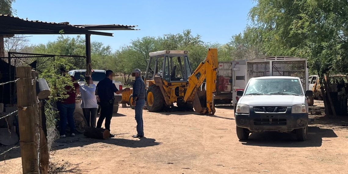 Investiga FGJES muerte de animales en predio de Hermosillo