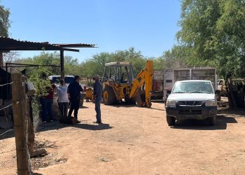 Investiga FGJES muerte de animales en predio de Hermosillo