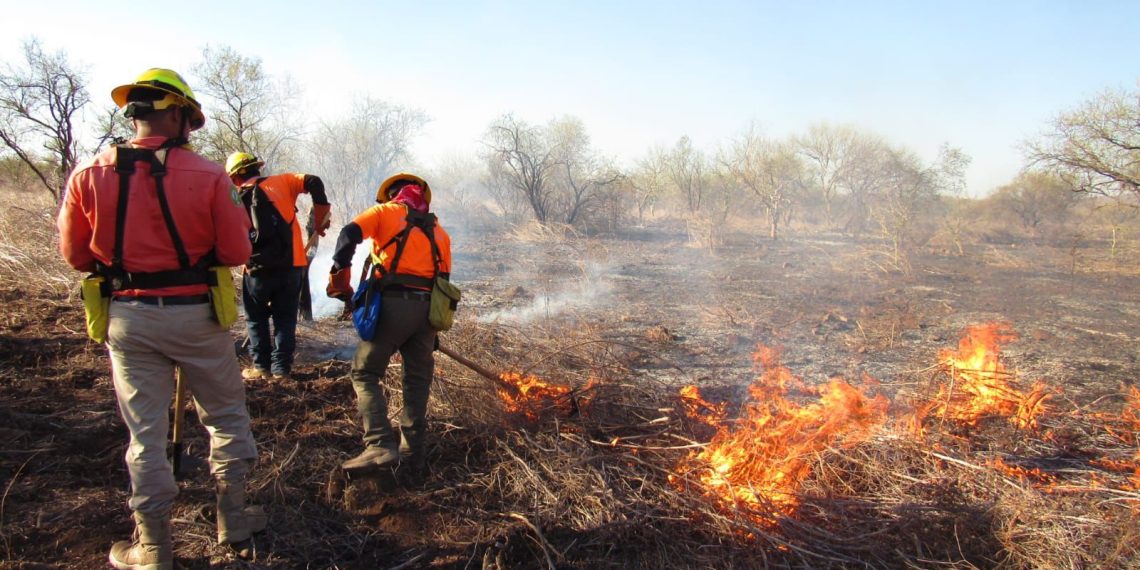 Personal de SEDENA y la Brigada Estatal de Manejo de Fuego, controlan y liquidan incendio forestal en Quiriego