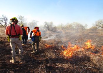 Personal de SEDENA y la Brigada Estatal de Manejo de Fuego, controlan y liquidan incendio forestal en Quiriego