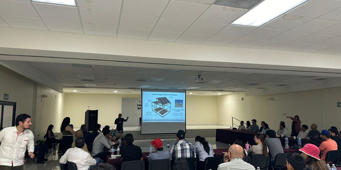 Participa sector educativo en taller binacional “Instalaciones Agrovoltaicas”: SEC