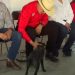 Ramón Flores trabajará en combatir el maltrato animal