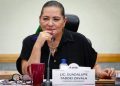 Pide Taddei a organizaciones no usar color rosa del INE