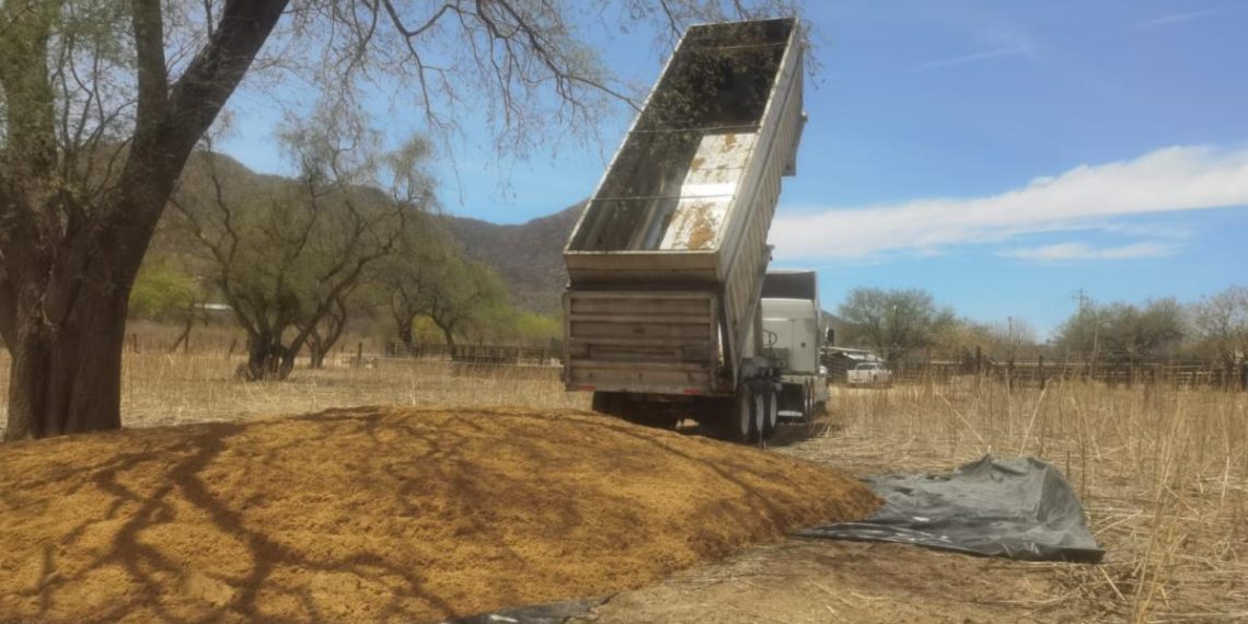 Entregan alimento a ganaderos de Álamos y comunidad guarijías