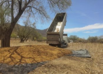 Entregan alimento a ganaderos de Álamos y comunidad guarijías