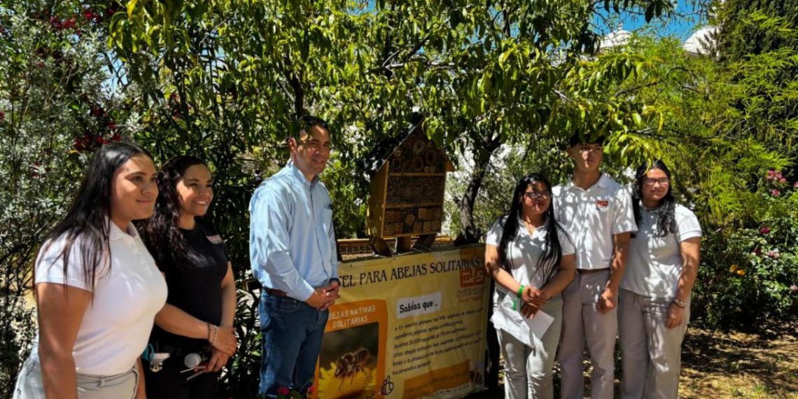 Instalan alumnos de Cobach Sonora “Hotel para abejas solitarias”