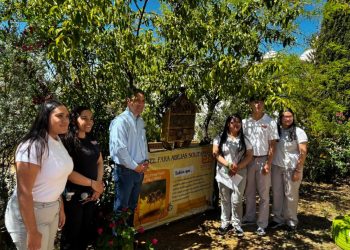Instalan alumnos de Cobach Sonora “Hotel para abejas solitarias”