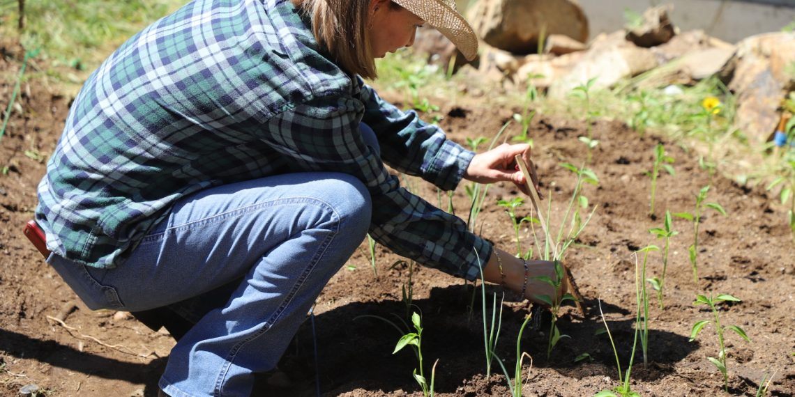 Participan estudiantes del Creson en taller sobre agricultura orgánica para crear huertos escolares
