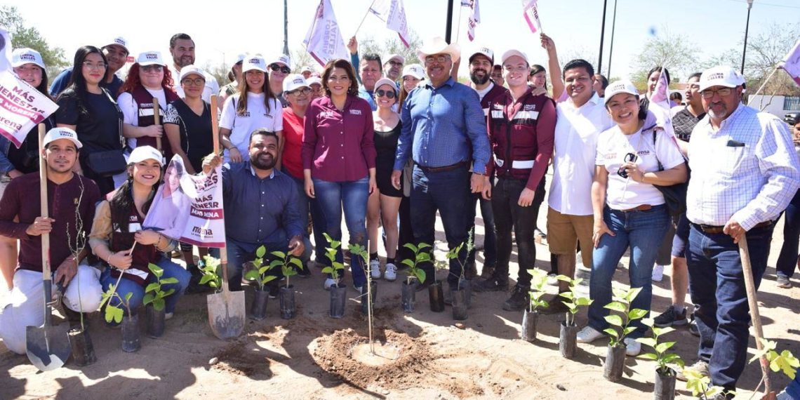Cuidar el medio ambiente, prioridad de Morena: Lorenia Valles