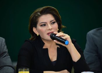 Cualquier ola rosa se desvanece en el océano guinda: Lorenia Valles