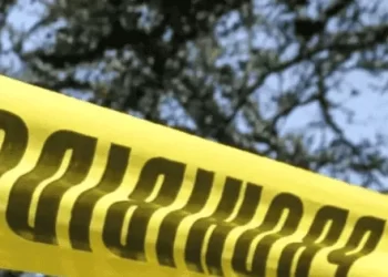 Suman 84 menores asesinados en México en lo que va de 2024: Causa en Común