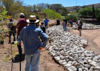 Implementa UTNogales programa “Jardines de Lluvia Escolares” en secundarias
