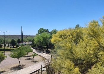 Promueve Universidad de la Sierra conservación de plantas nativas del desierto sonorense