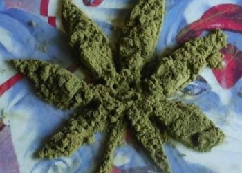 Supera consumo de mariguana al del alcohol en EU